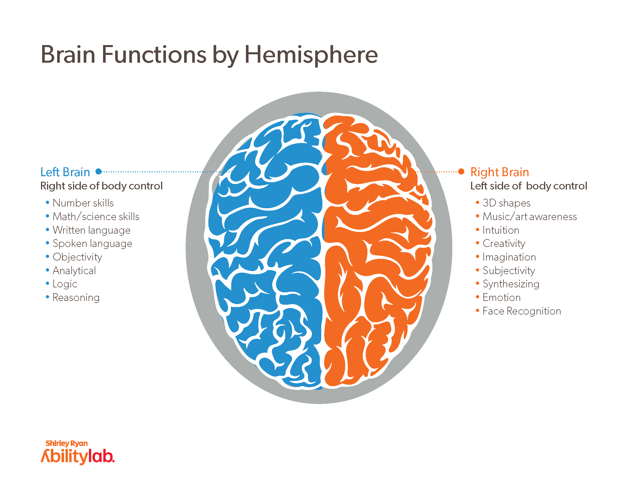 understanding-the-parts-of-the-brain